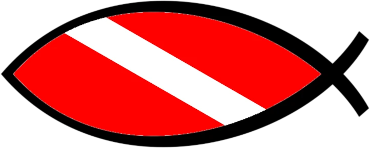 PADI Scuba Diving Courses and Cenote Tours in Playa del Carmen